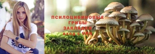 спиды Абаза