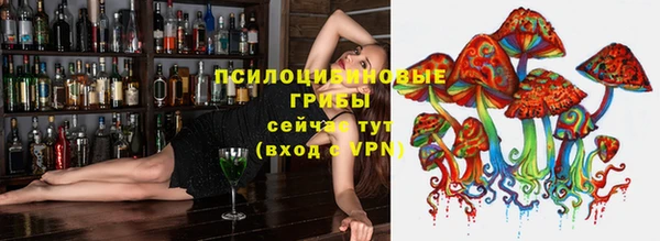 спиды Абаза