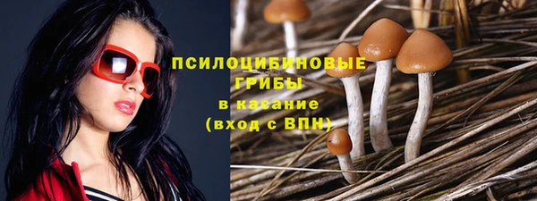 ПСИЛОЦИБИНОВЫЕ ГРИБЫ Абинск